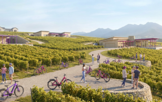 people on a gravel path with e-bikes through a sunny vineyard, enjoying ebike wine tours.