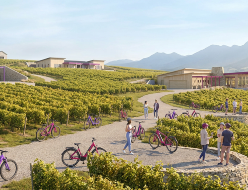 April eBike and Wine Tour Combination Experiences