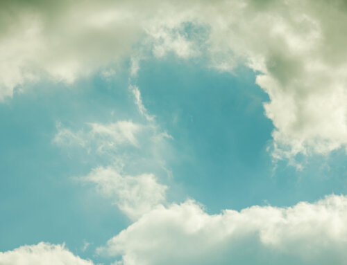 How March Weather Patterns Affect Grape Varietal Selection