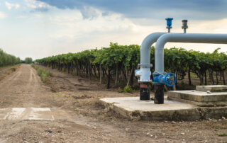 irrigation system pipes and valves next to grapevines, ready for peak growing season.
