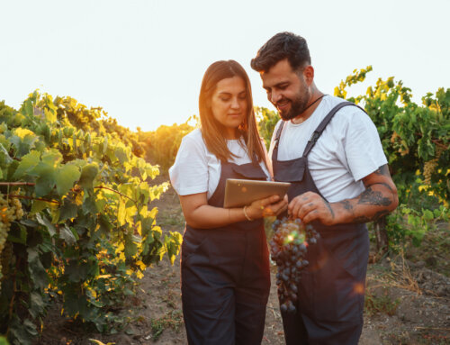 Vineyard Labor Planning for 2026 Growing Season