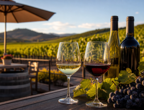 Maximizing Your Uys Wines Club Benefits This Summer